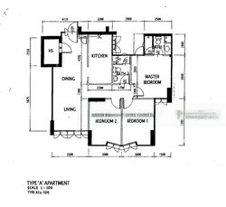 fern-spring photo thumbnail #9